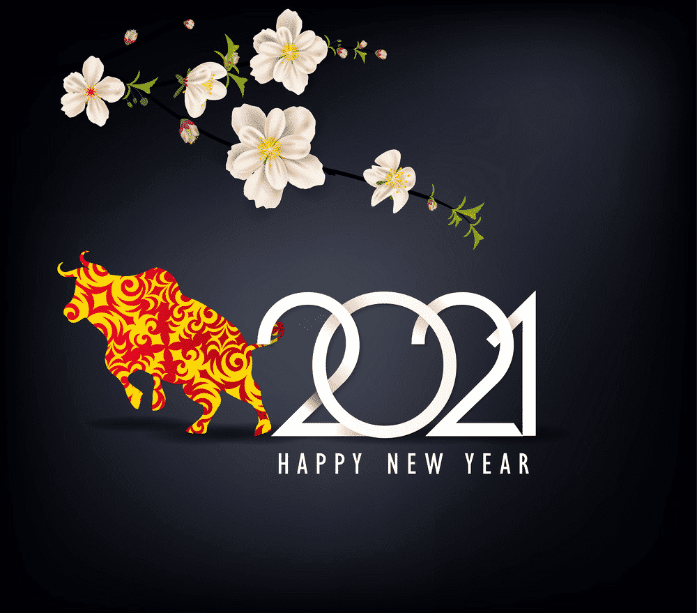 Lao Embassy in Singapore sends New Year greetings to Vietnamese counterpart